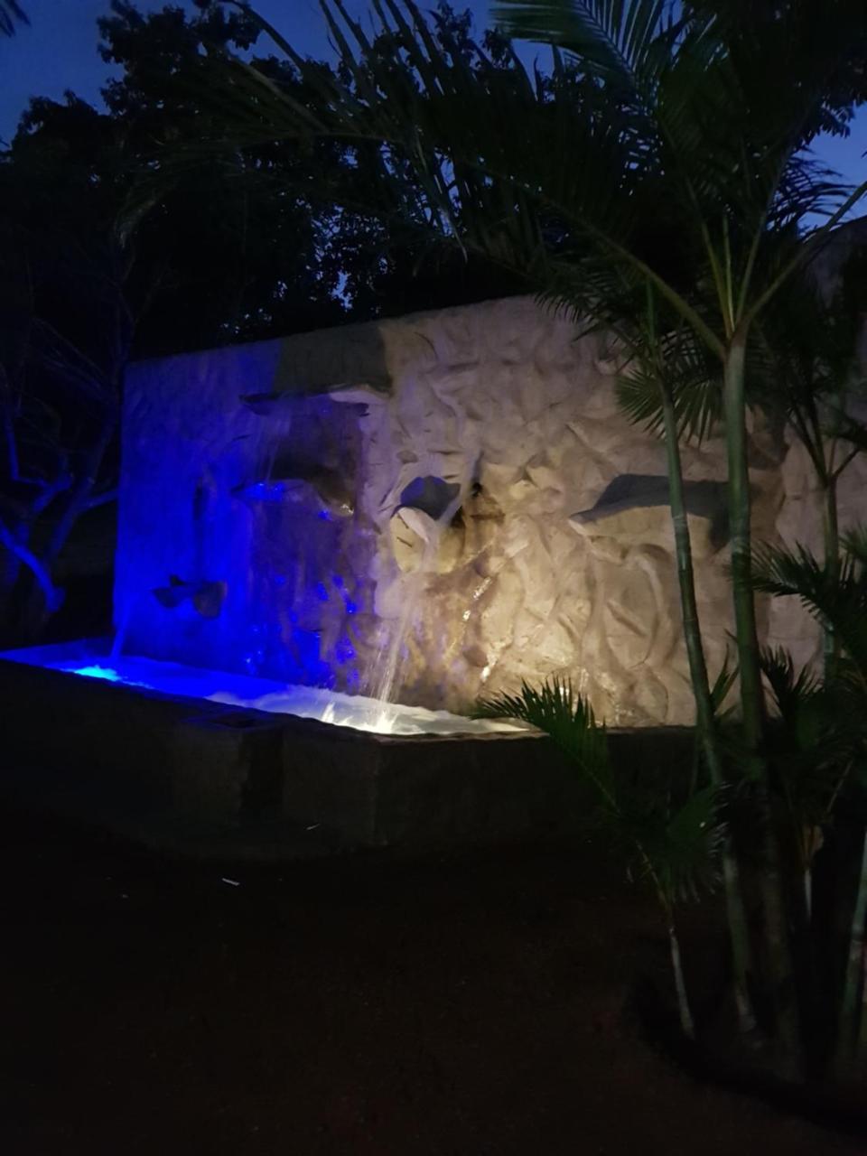 Numbi Hills Self-Catering Villa Hazyview Dış mekan fotoğraf